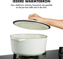 MOA Gietijzeren Braadpan - Inhoud 7,2 Liter - 30CM - Rond - Alle Warmtebronnen - Ook Voor Inductie - Gewicht 7,3 Kg - Wit - C30W -Keuken Accessoires Verkoop 1200x1131 1