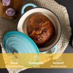 Chefarone Gietijzeren Pan - Braadpan Inclusief Deksel - Geschikt Voor Alle Warmtebronnen - Geëmailleerd Blauw -Keuken Accessoires Verkoop 1200x1200 476