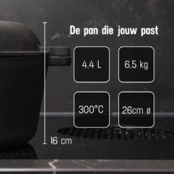 Daumonet Ducasse Gietijzeren Double Use Braadpan - Combi Sudderpan Zwart - 2-in-1 Bak- En Braadpan - PFAS & PFOA Vrij - Rond - Ø 26 Cm - 4,4 Liter - Emaille - Alle Warmtebronnen - Elektrisch - Gas - Halogeen - Inductie - Keramisch -Keuken Accessoires Verkoop 1200x1200 589