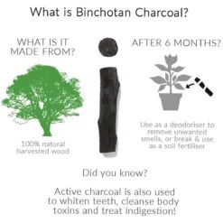 Black + Blum Binchotan Active Charcoal For Eau Good Water Bottles 4-pack -Keuken Accessoires Verkoop 1200x1200 909