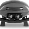 Burnhard Draagbare 2-Branders Gasbarbecue - Afdekhoes - BBQ Wayne -Keuken Accessoires Verkoop 1200x784 2