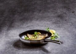 BK Allround Koekenpan Ø 24 Cm - Inductie - PFAS-vrij 20 BK Allround Koekenpan Ø 24 Cm - Inductie - PFAS-vrij -Keuken Accessoires Verkoop 1200x851